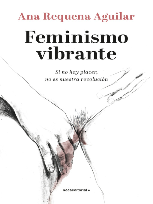 Cover image for Feminismo vibrante